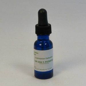 I Am Soul's Potential - 1/2 oz. bottle-142