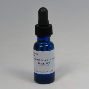 Black Ant - 1/2 oz. bottle-159