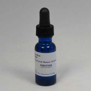 Forsythia - 1/2 oz. bottle-164