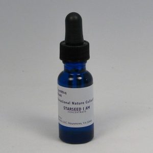Starseed I Am - 1/2 oz. bottle-180