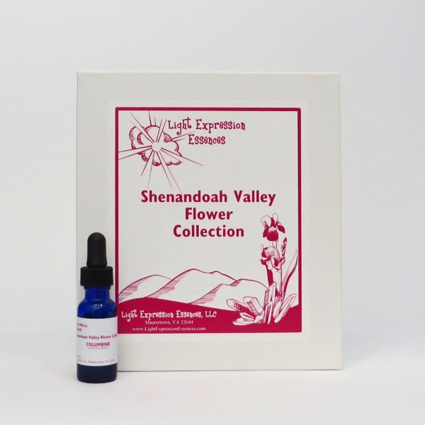 Shenandoah Valley Flower Box I
