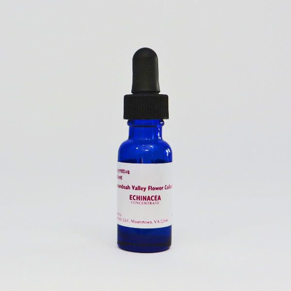 Echinacea