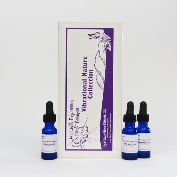 Vibrational Nature Collection III