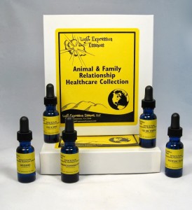 animal-fam-health